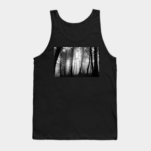 Misty forest on Killiney Hill Tank Top